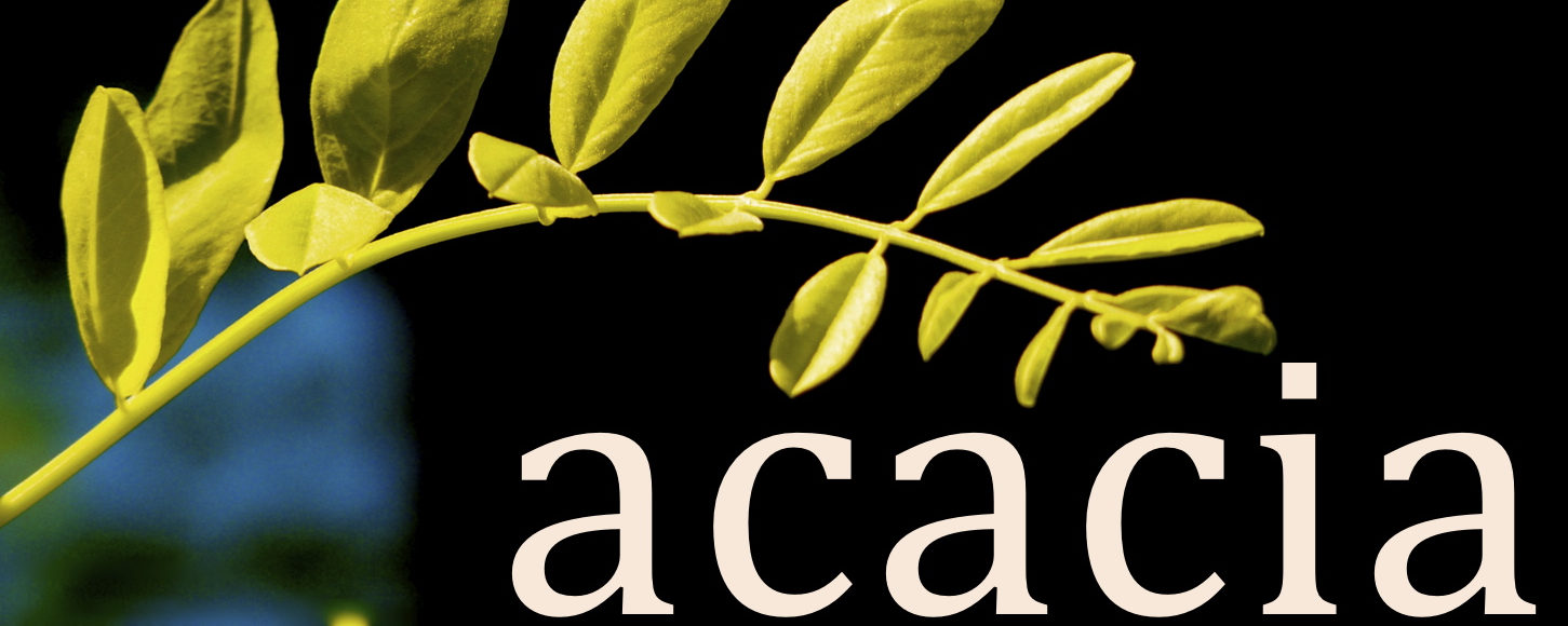 Agence Acacia